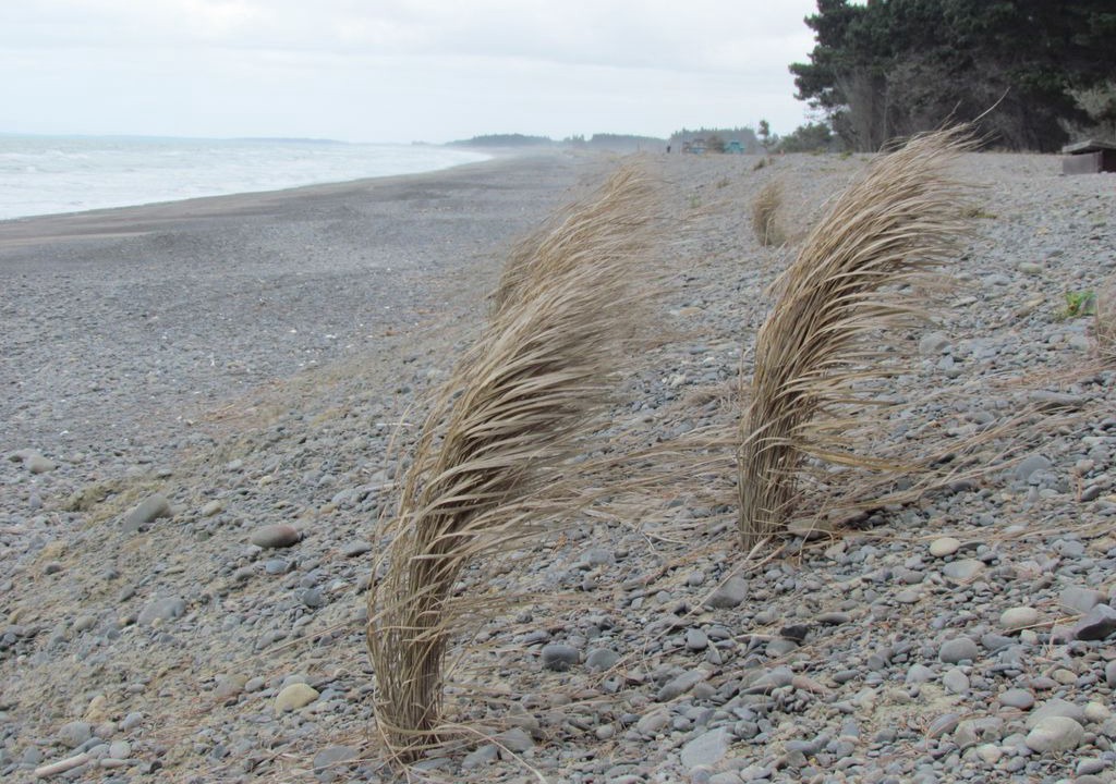 Photo of Others in Amberley