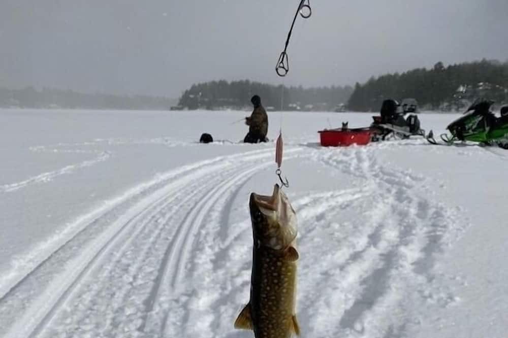 Photo of Others in Port Carling
