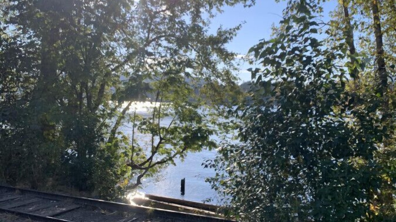 Photo of Outdoor in Shawnigan Lake