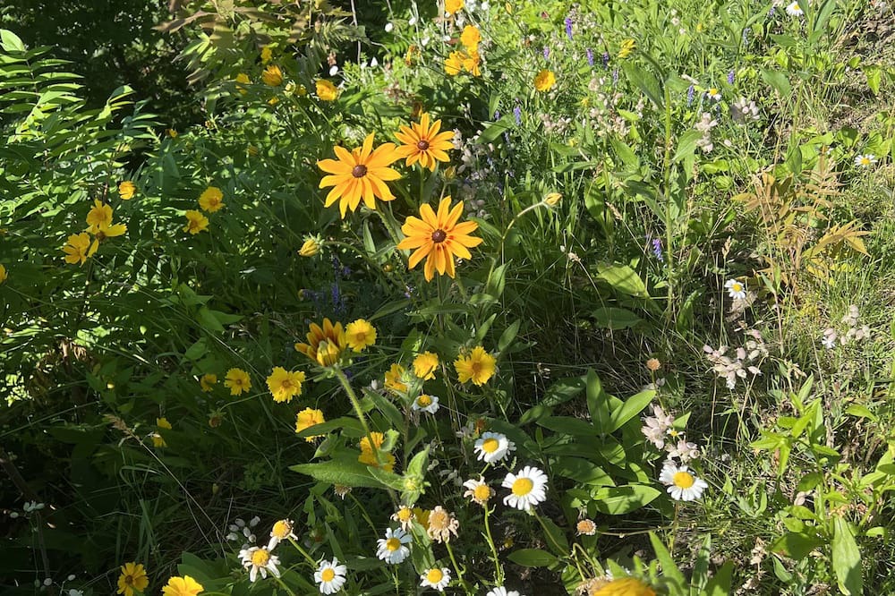Photo of Outdoor in Grenville-sur-la-Rouge