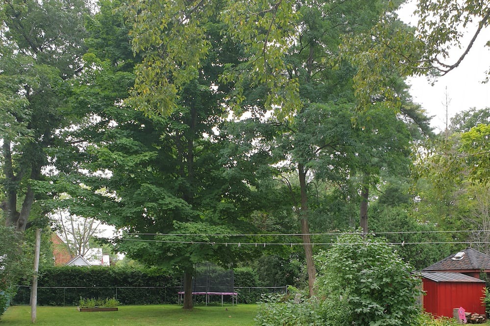 Photo of Outdoor in Coldwater