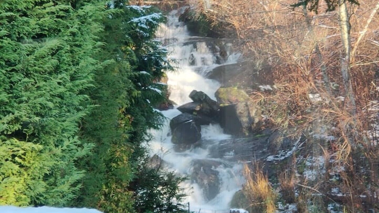 Photo of Outdoor in Saanich West