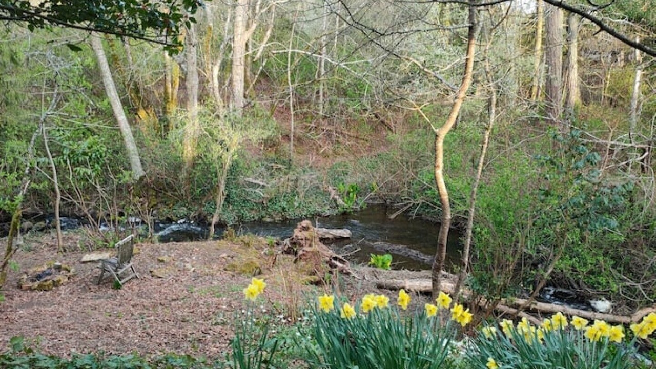Photo of Outdoor in Saanich West