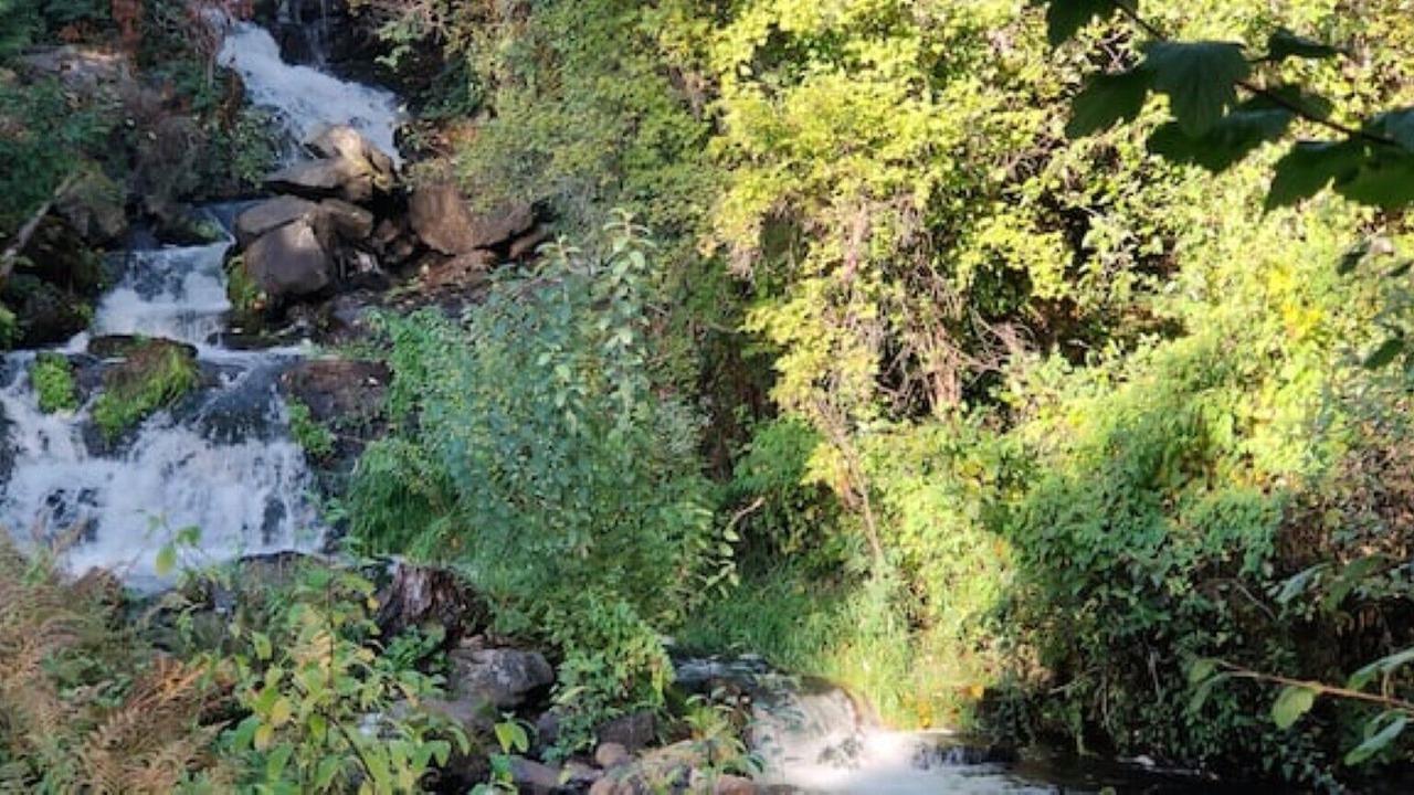 Photo of Outdoor in Saanich West