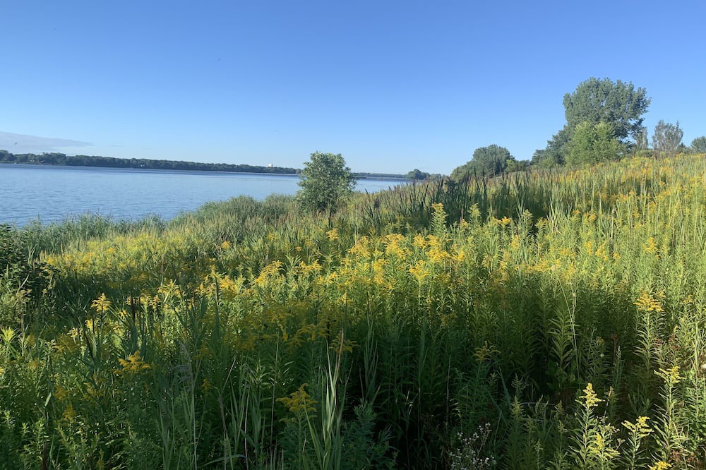 Photo of Outdoor in Verdun