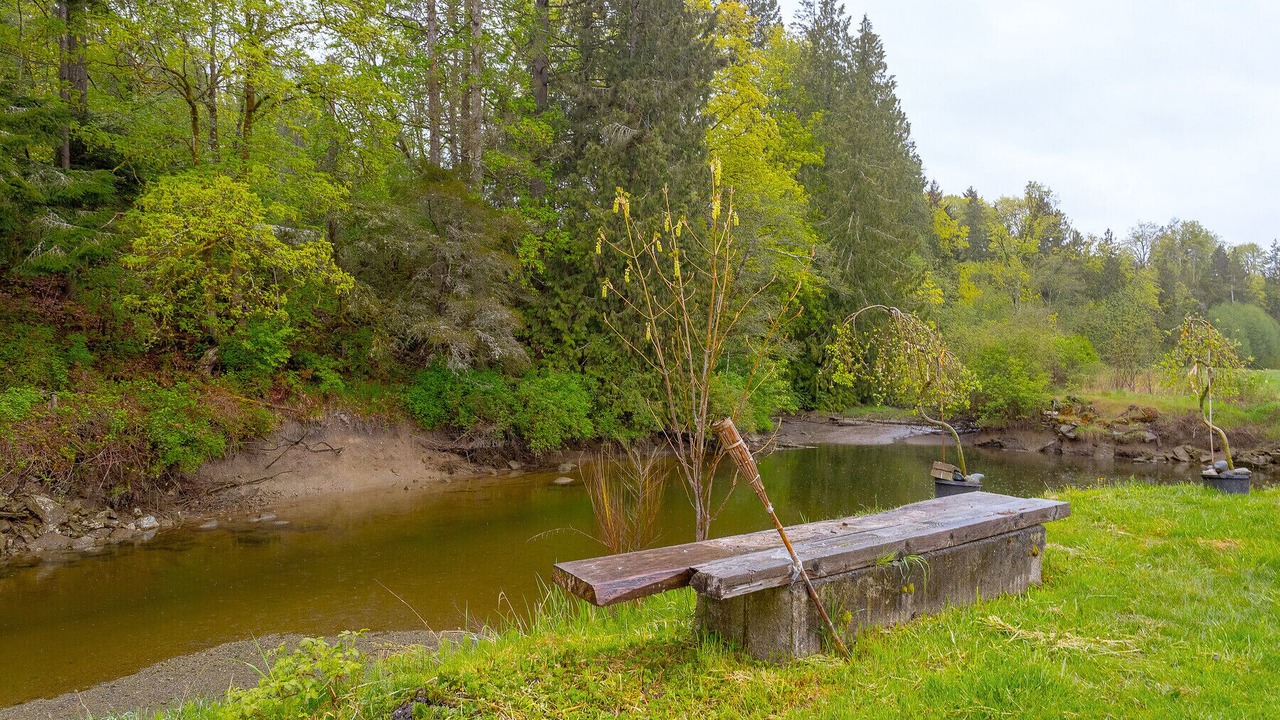 Photo of Outdoor in Cowichan Bay