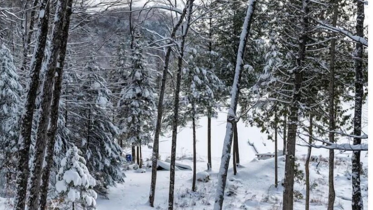 Photo of Others in Grenville-sur-la-Rouge