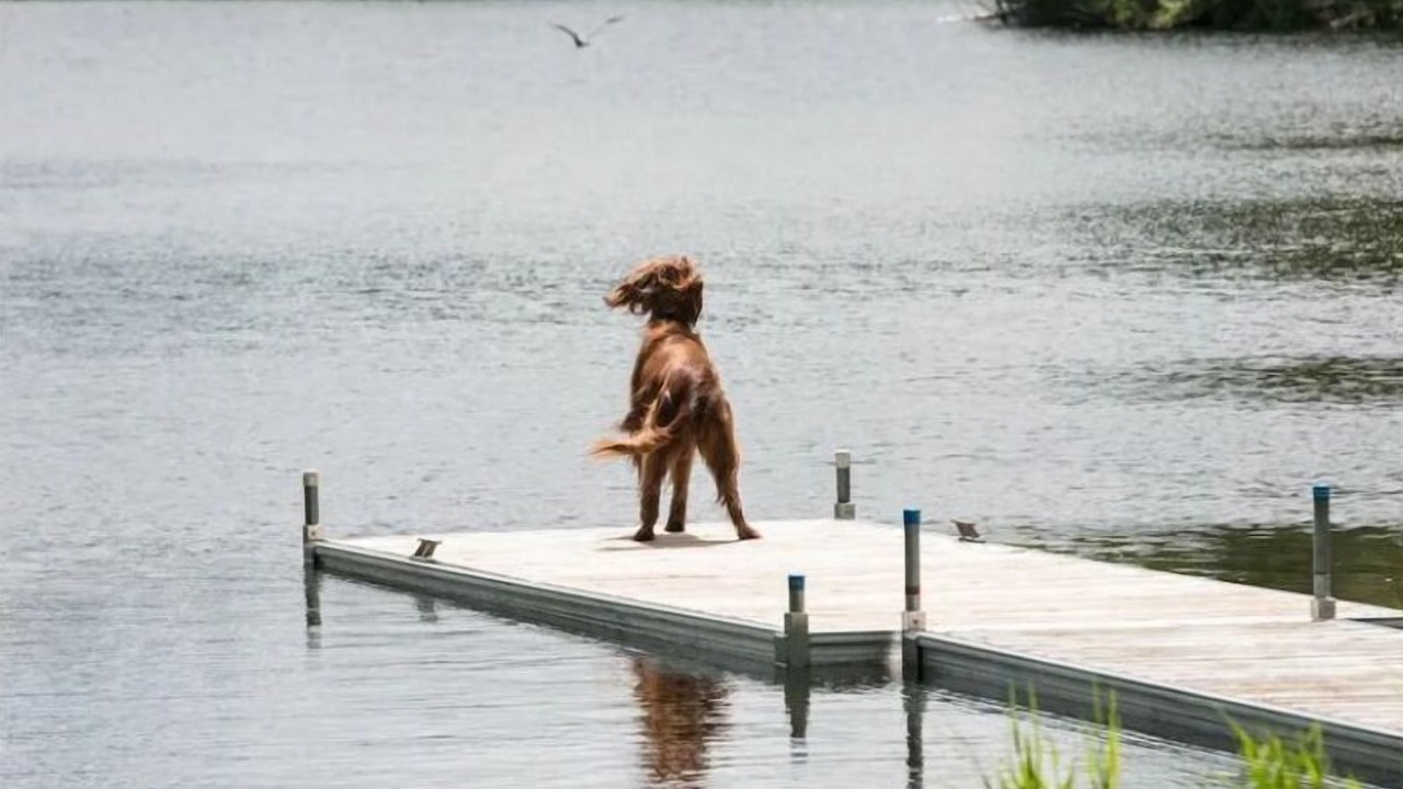 Photo of Others in Grenville-sur-la-Rouge