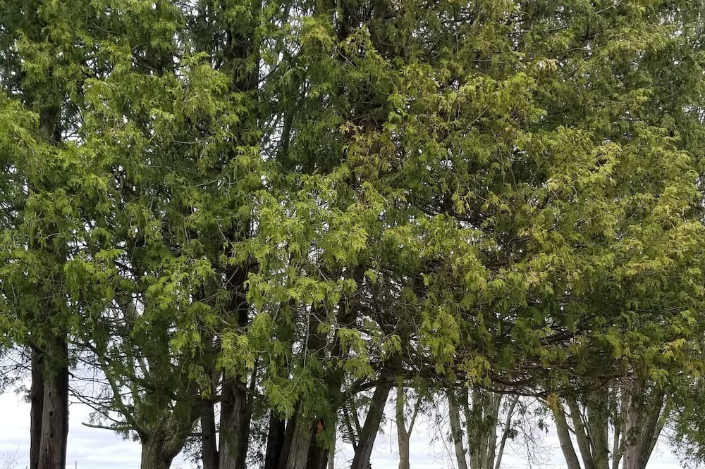 Photo of Others in Bobcaygeon