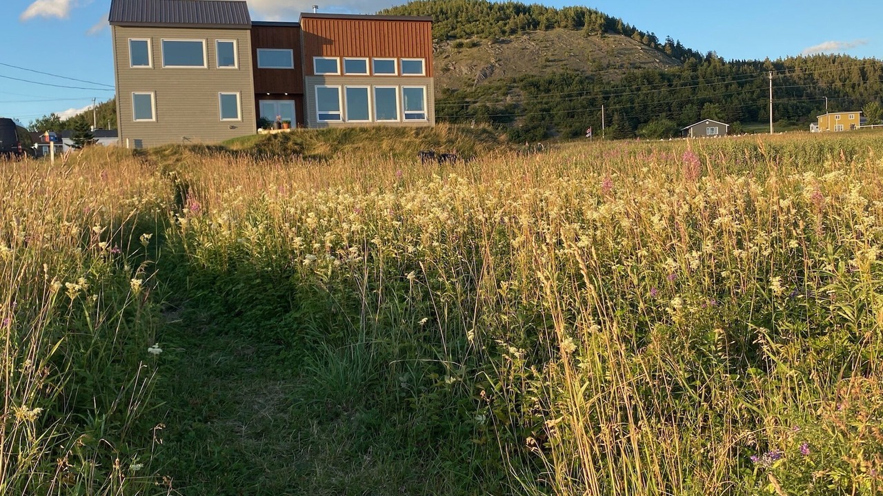 Photo of Outdoor in Norris Point