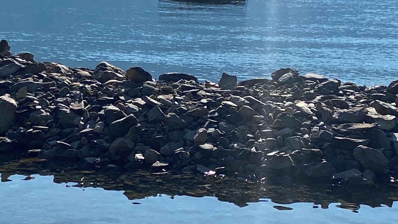 Photo of Others in Central Kootenay