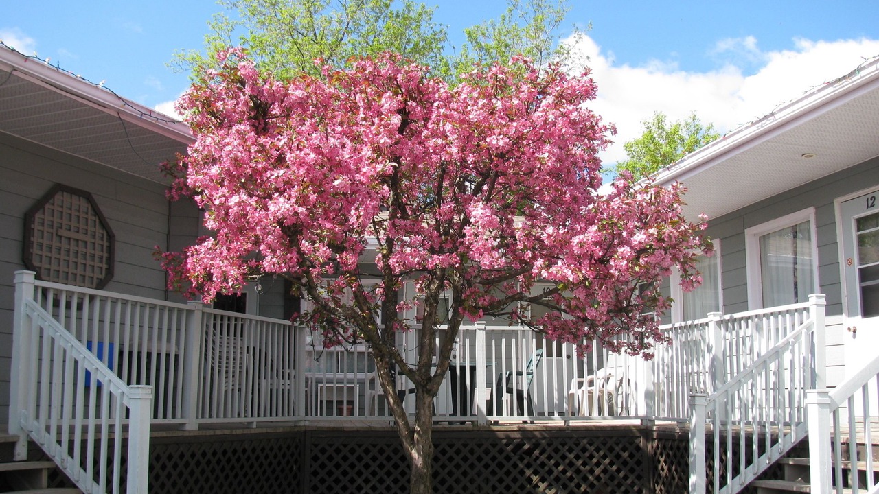 Photo of Outdoor in Magog
