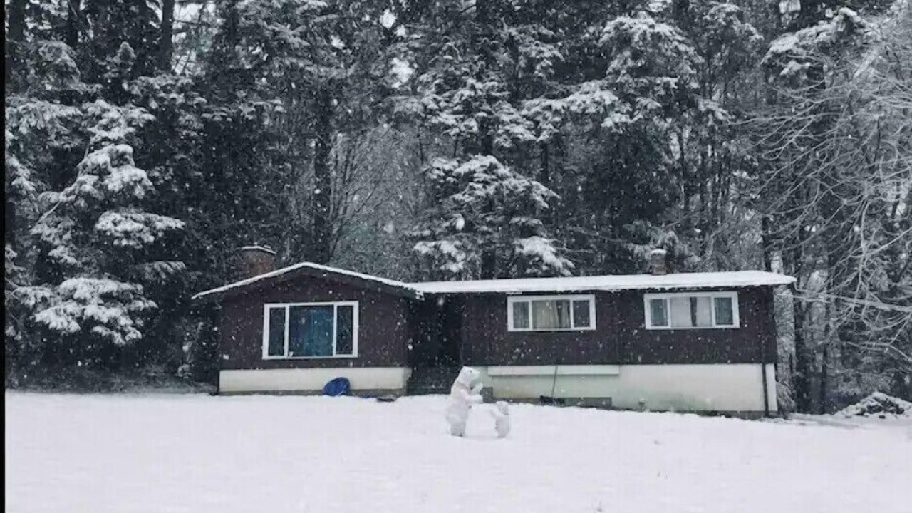 Photo of Outdoor in Cowichan Bay