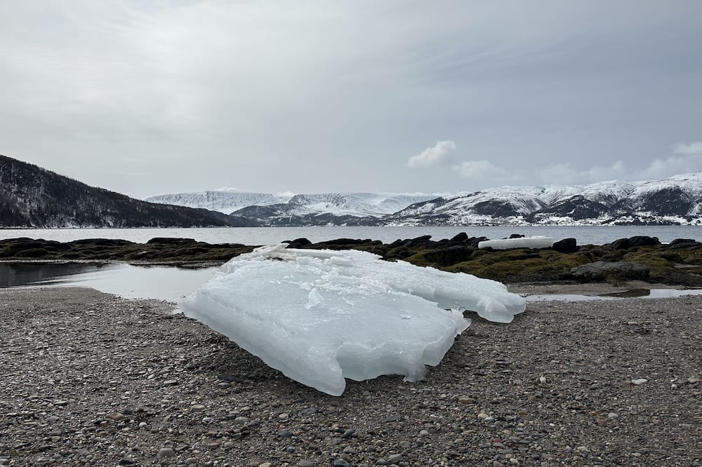 Photo of Outdoor in Norris Point