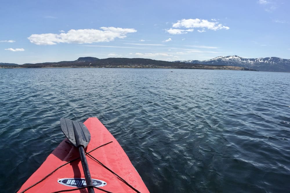 Photo of Others in Norris Point