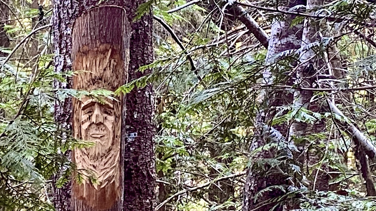 Photo of Outdoor in Ladysmith
