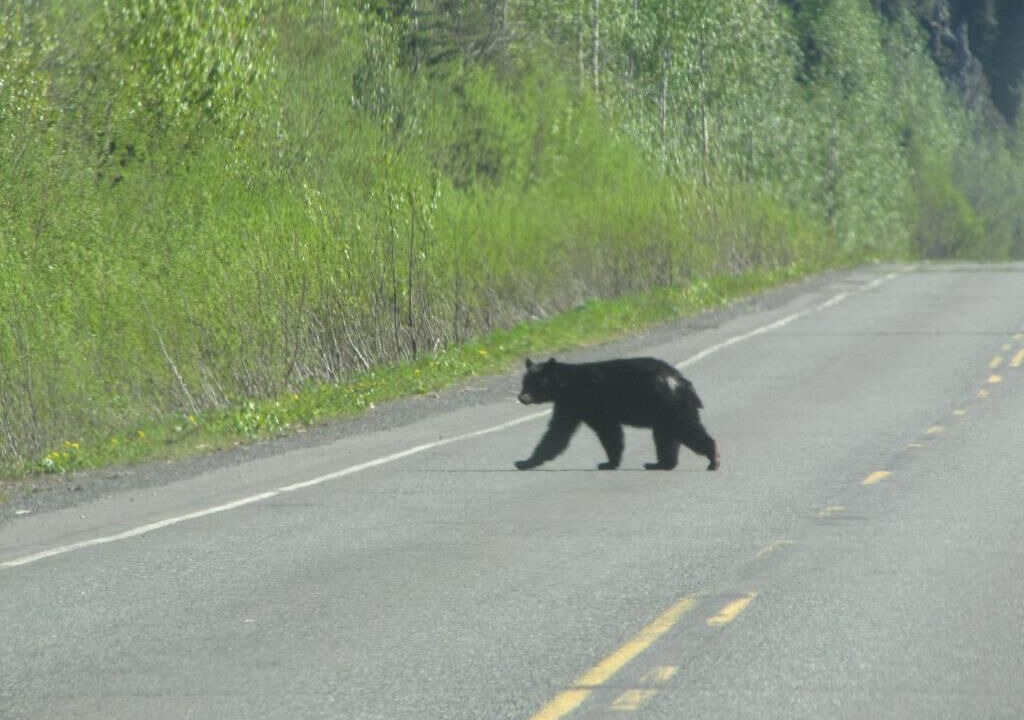 Photo of Outdoor in Stewart