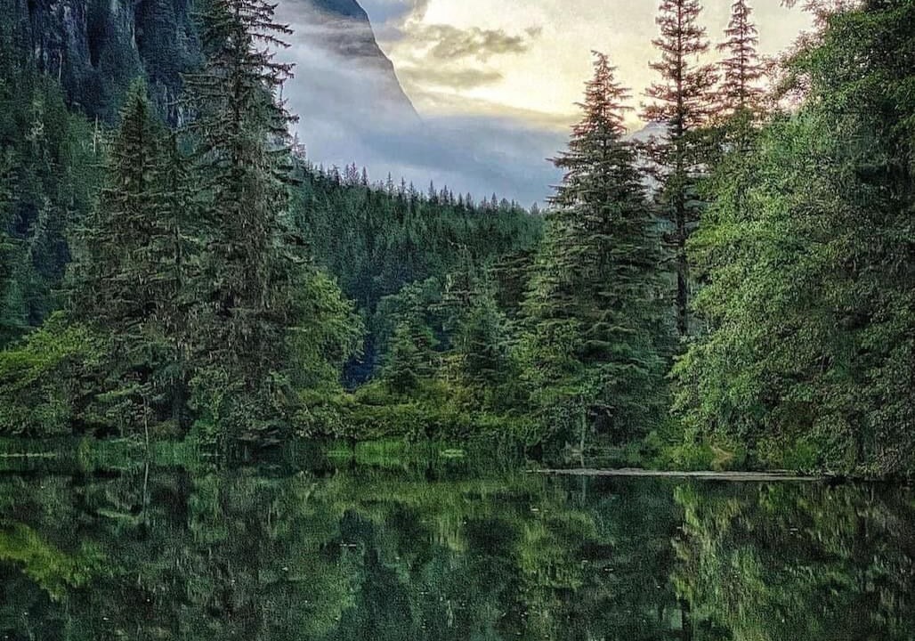 Photo of Others in Stewart