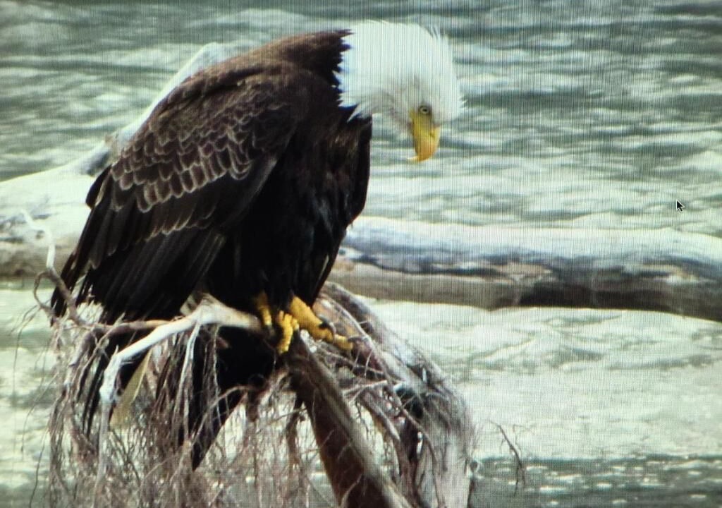 Photo of Outdoor in Stewart