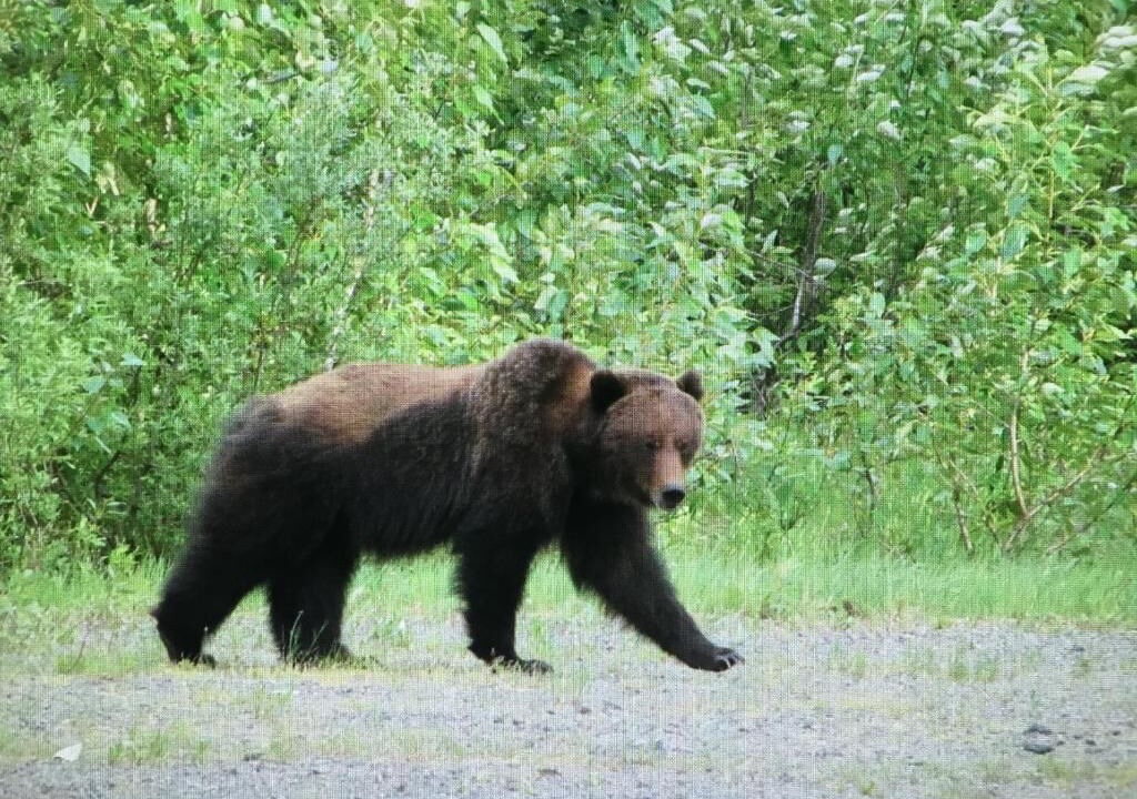 Photo of Outdoor in Stewart