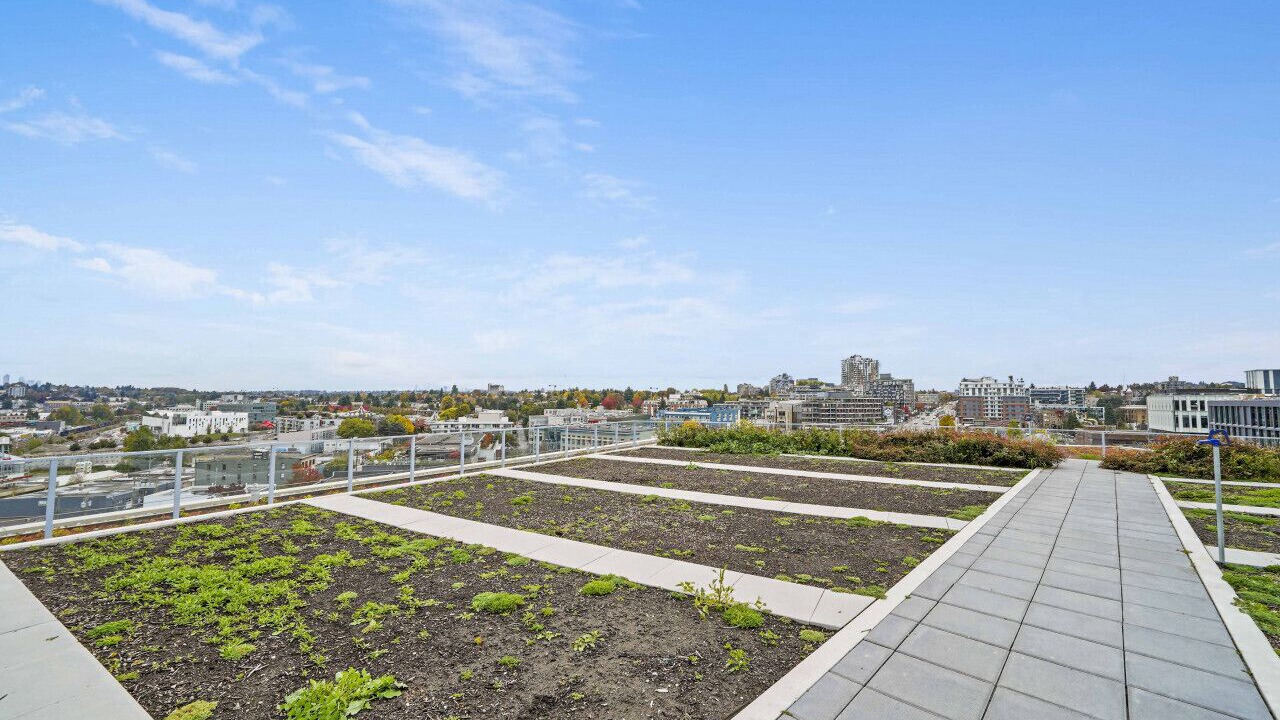 Photo of Outdoor in Mount Pleasant