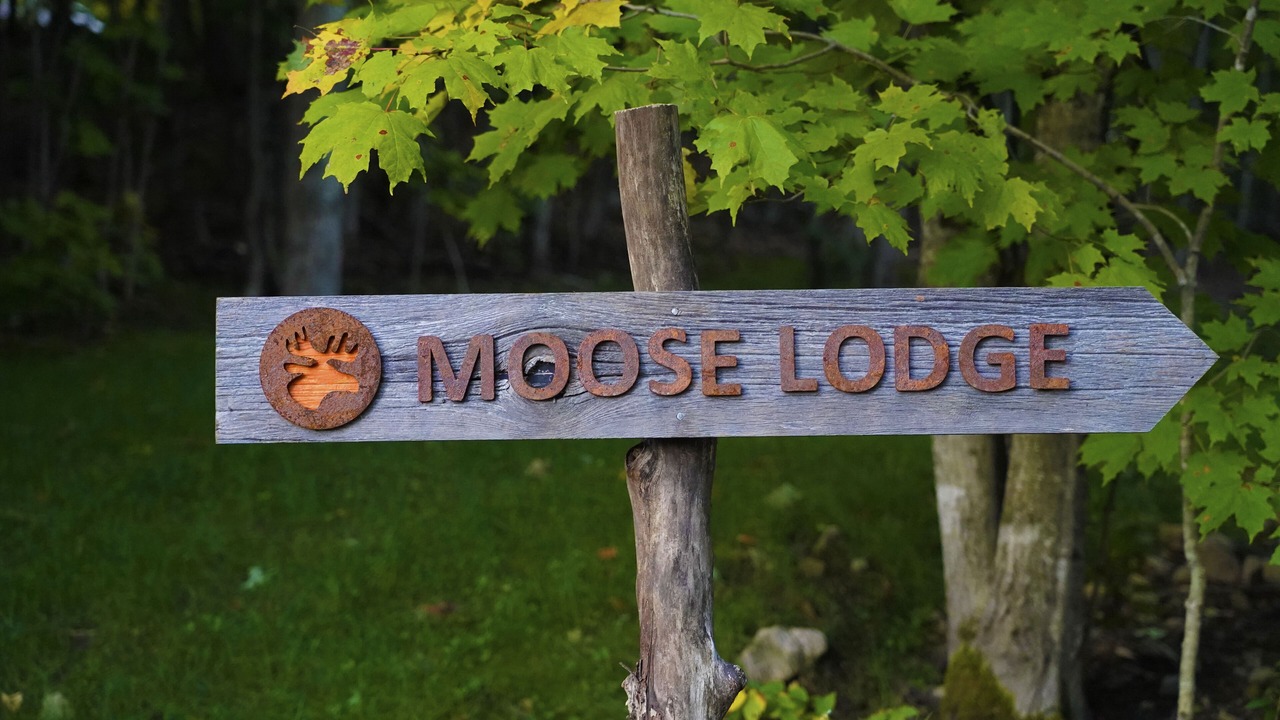 Photo of Outdoor in Utterson