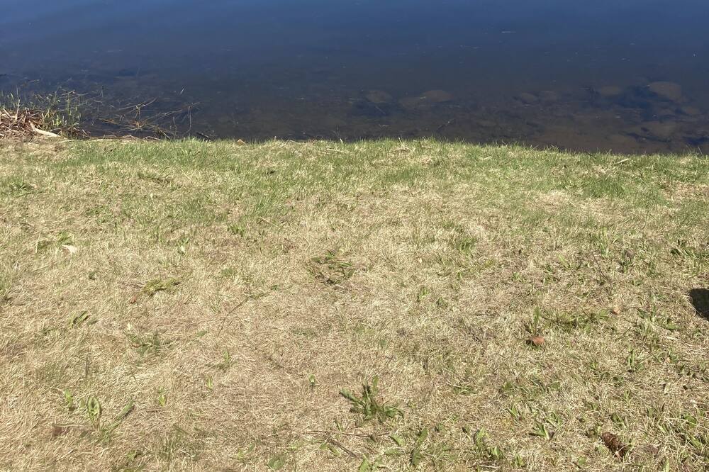 Photo of Others in Lone Butte