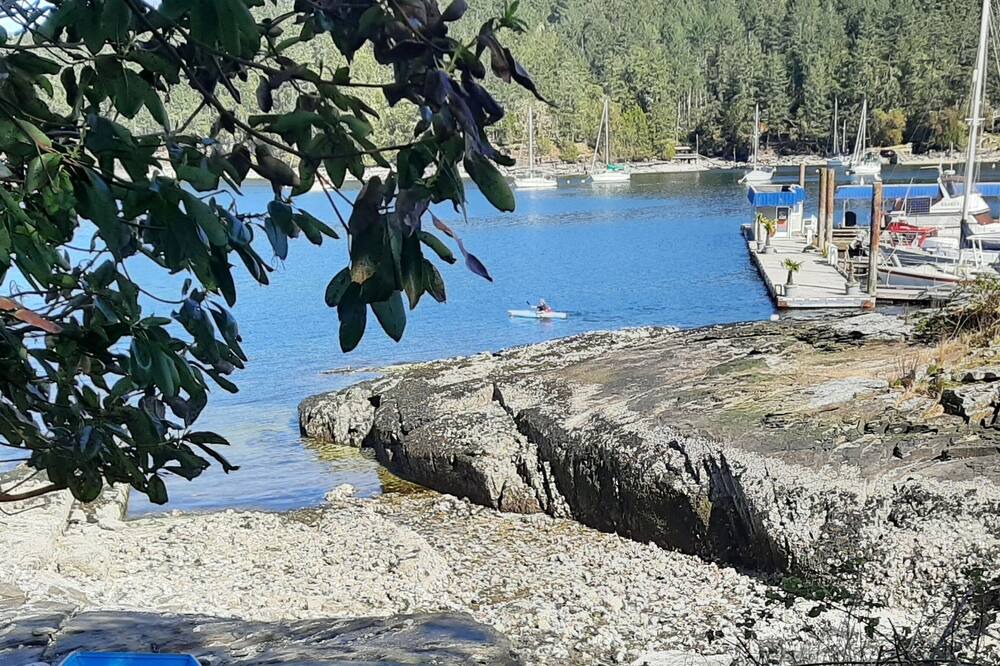 Photo of Outdoor in Maple Bay