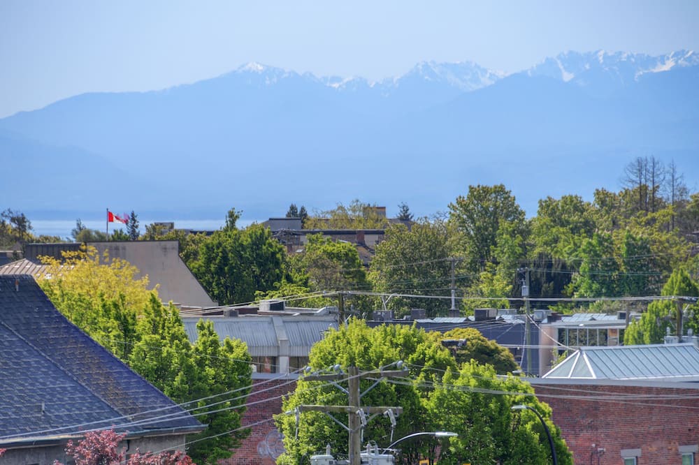 Photo of Others in North Park