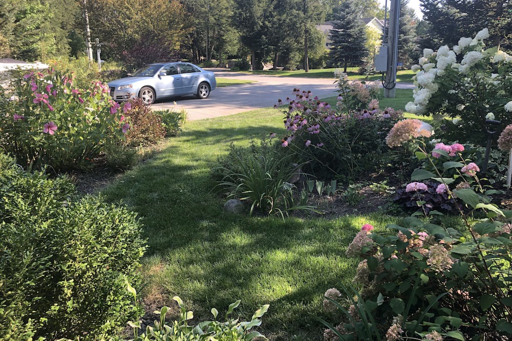 Photo of Outdoor in Bala