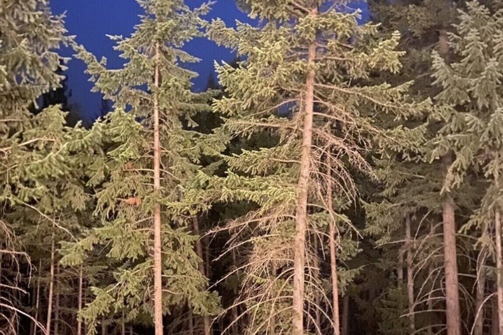 Photo of Others in West Kelowna Estates