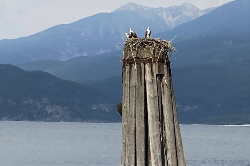 Photo of Others in Kaslo