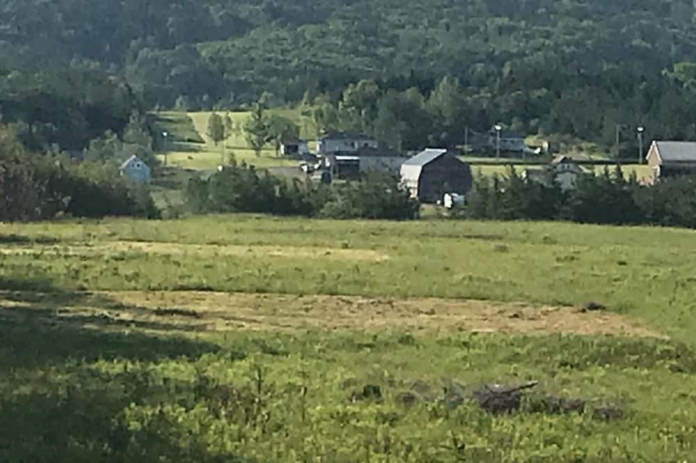 Photo of Others in Cheticamp