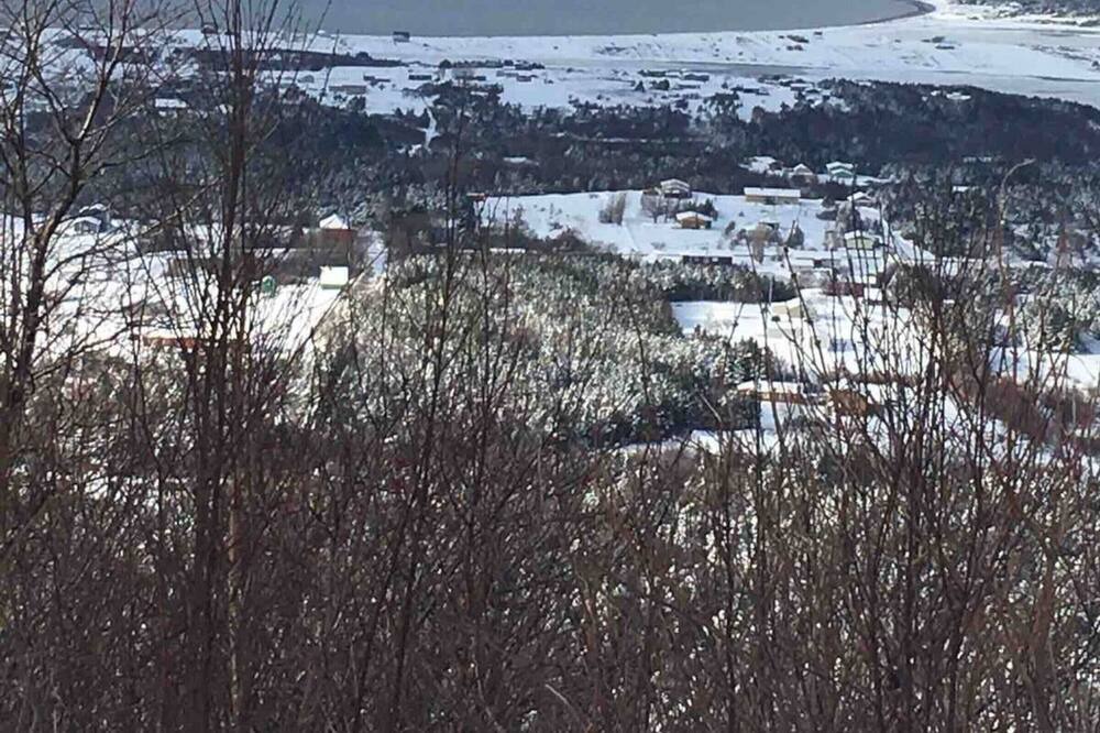 Photo of Others in Cheticamp