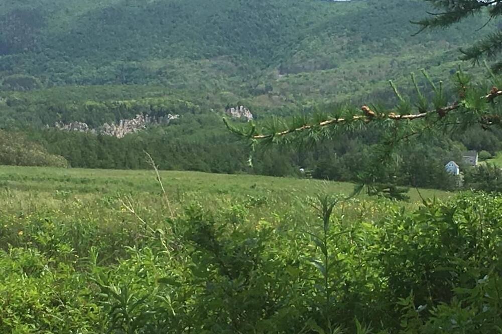 Photo of Outdoor in Cheticamp