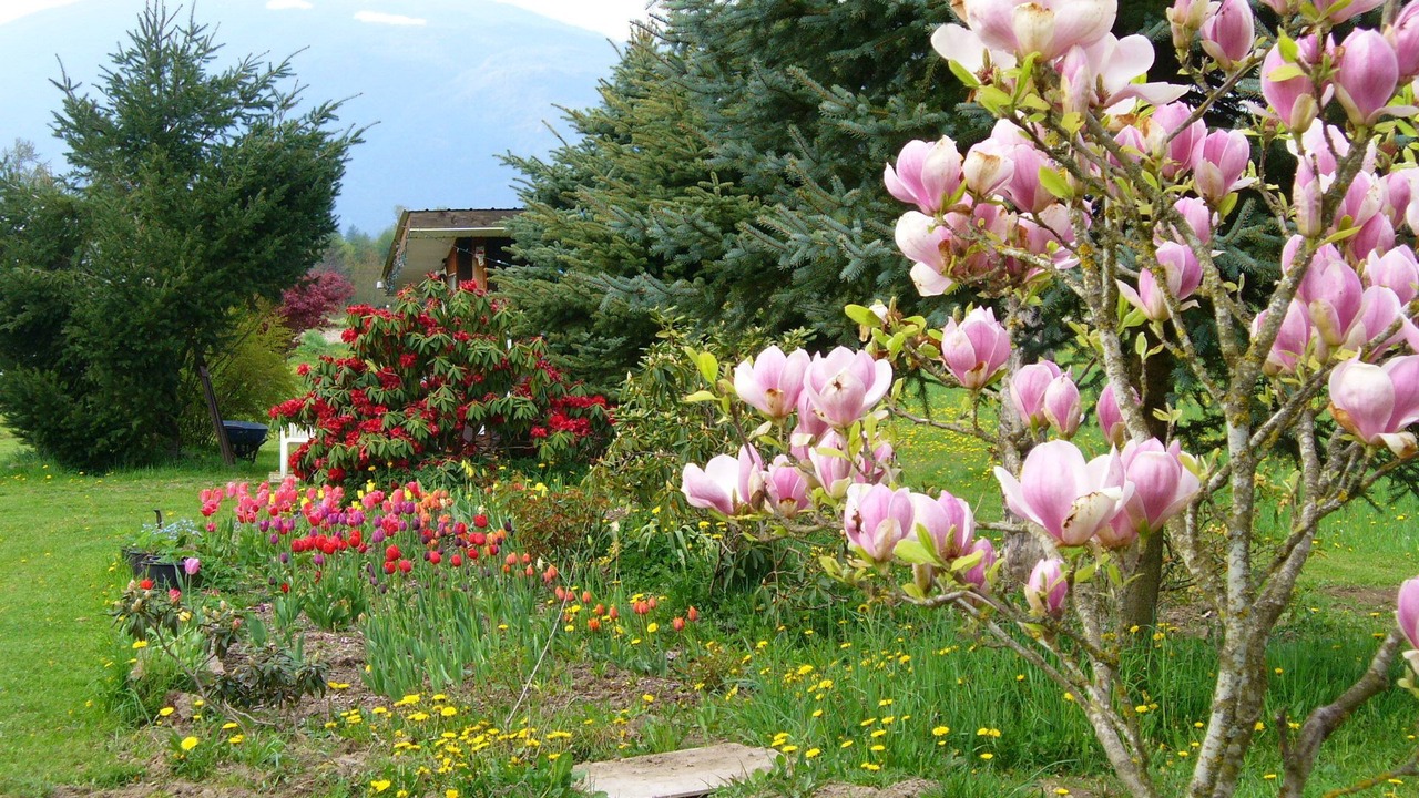 Photo of Outdoor in Harrison Mills