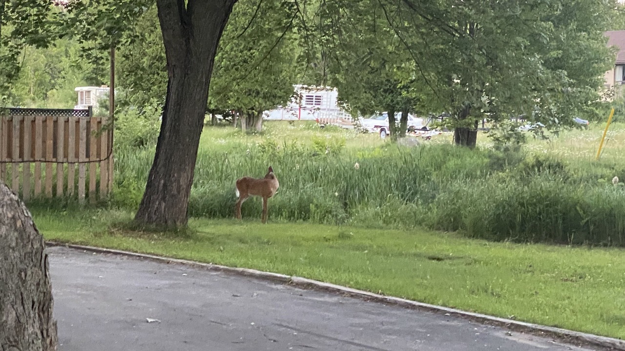 Photo of Outdoor in North Bay