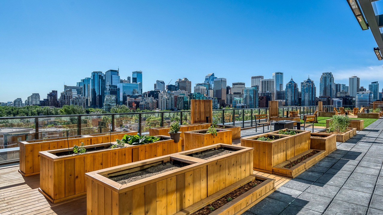 Photo of Outdoor in Kensington