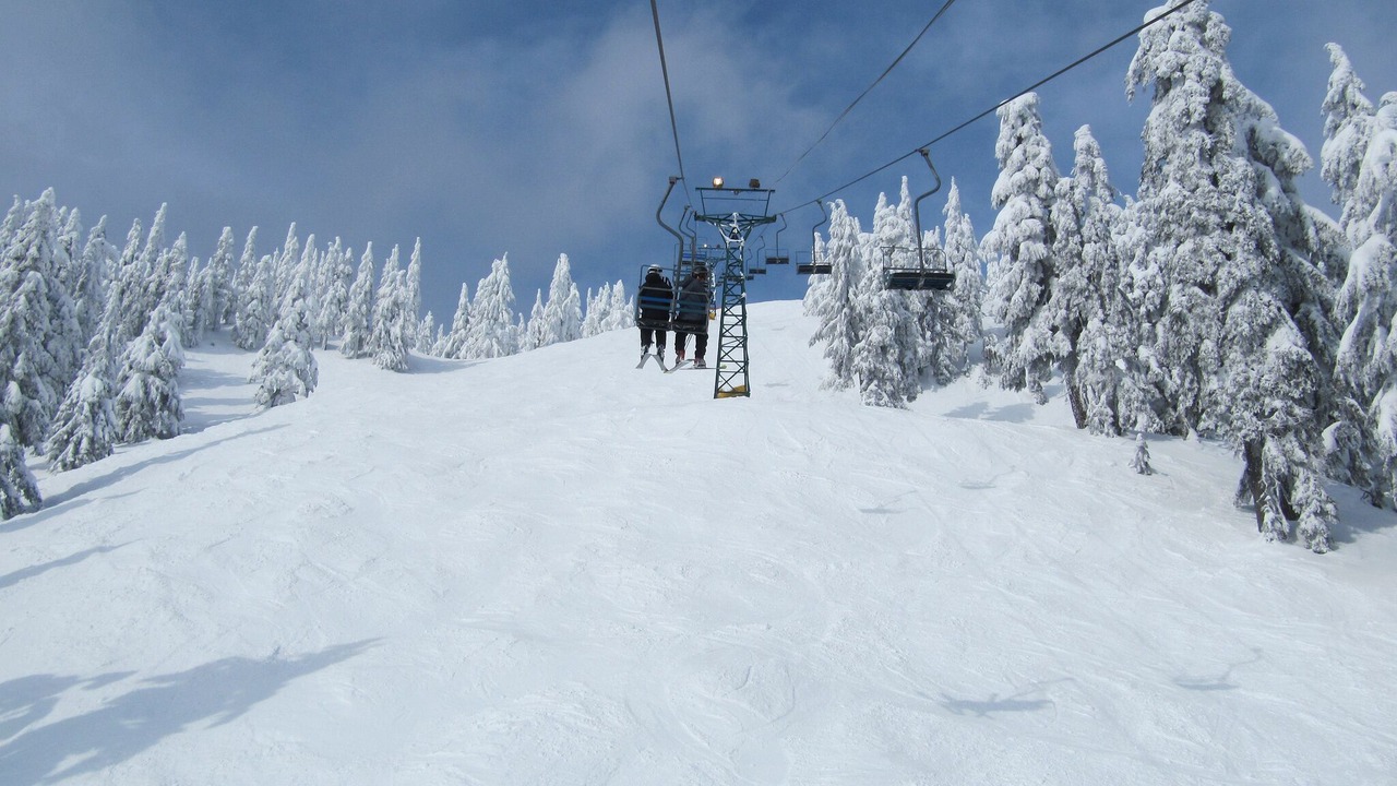 Photo of Others in Lynn Valley