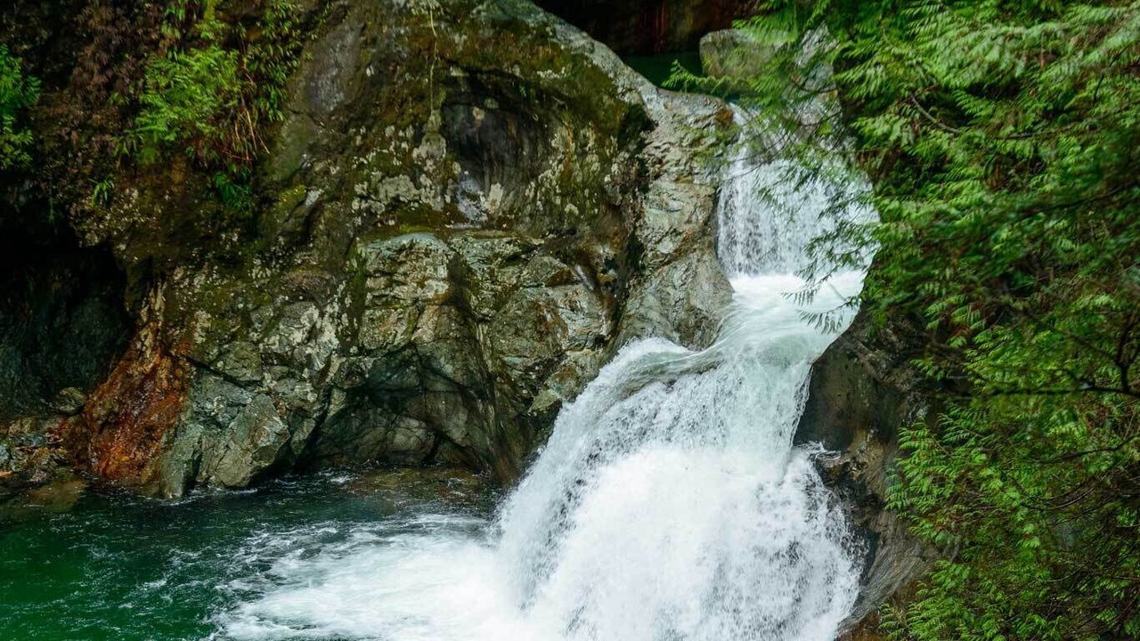 Photo of Others in Lynn Valley