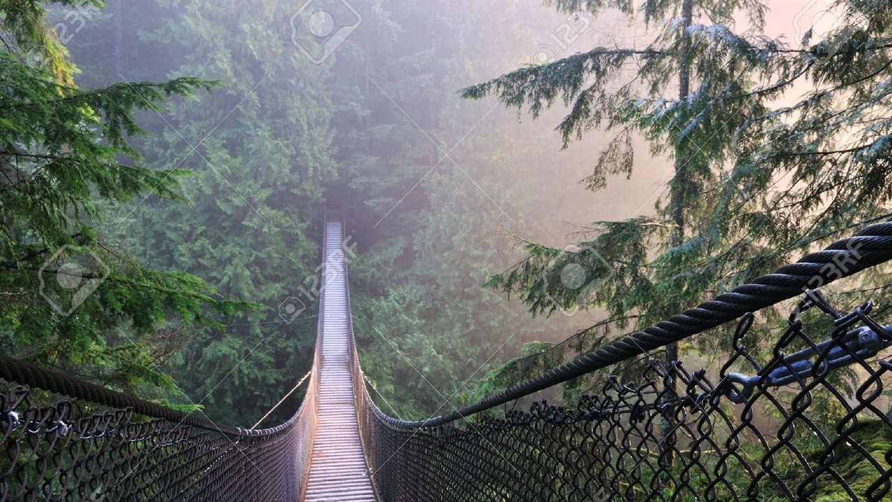 Photo of Others in Lynn Valley