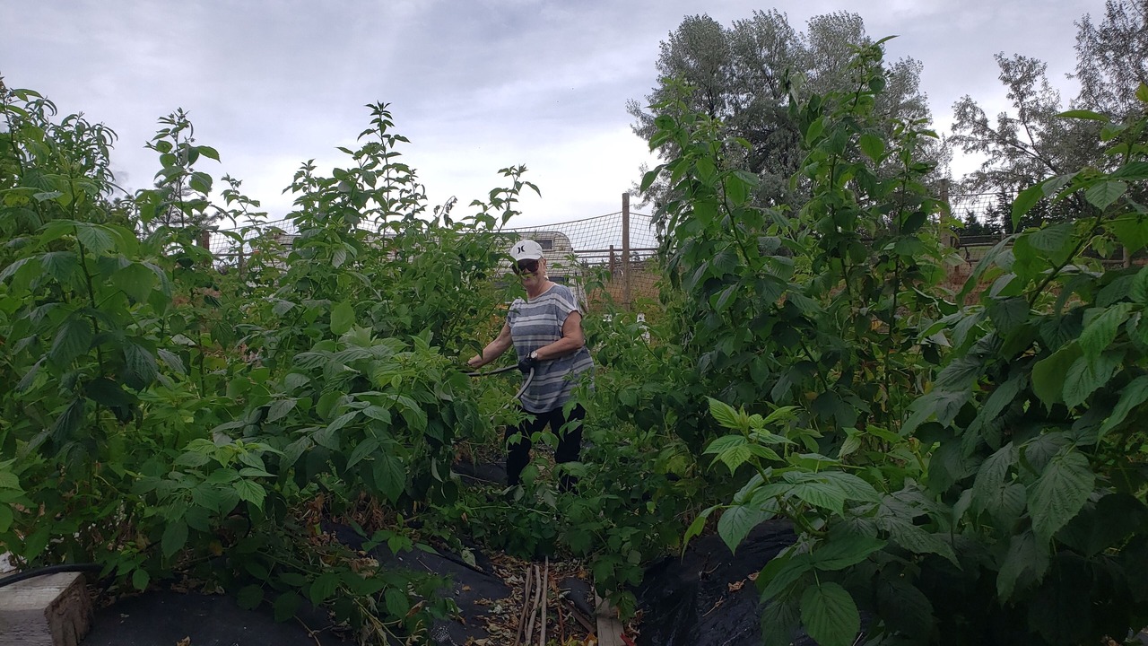 Photo of Outdoor in Kamloops