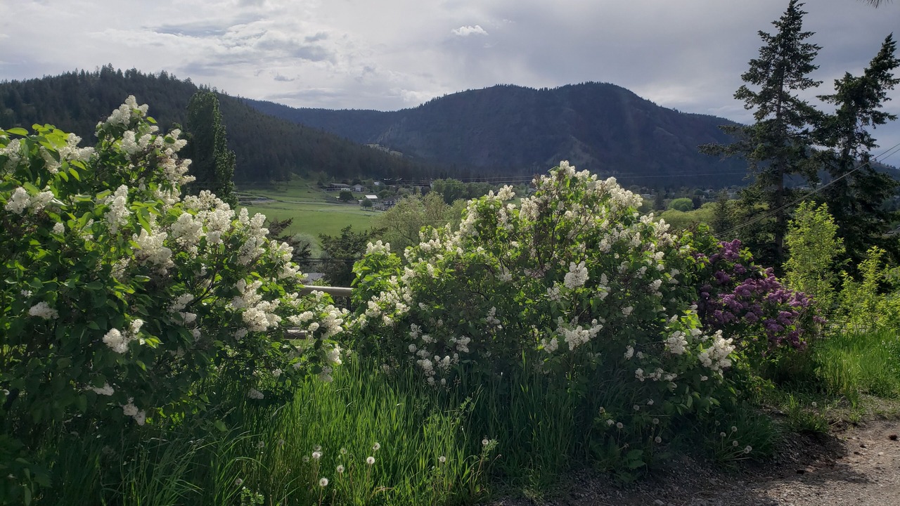 Photo of Outdoor in Kamloops
