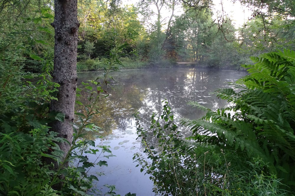 Photo of Outdoor in Mineville