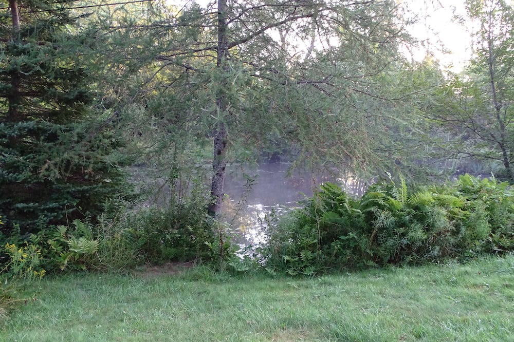 Photo of Outdoor in Mineville