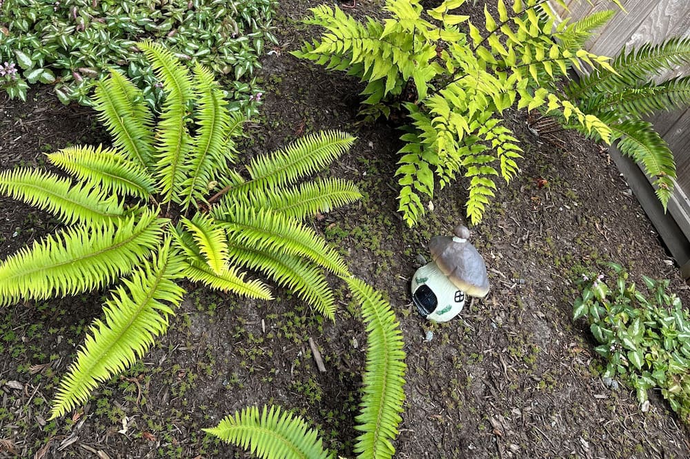 Photo of Outdoor in Delta