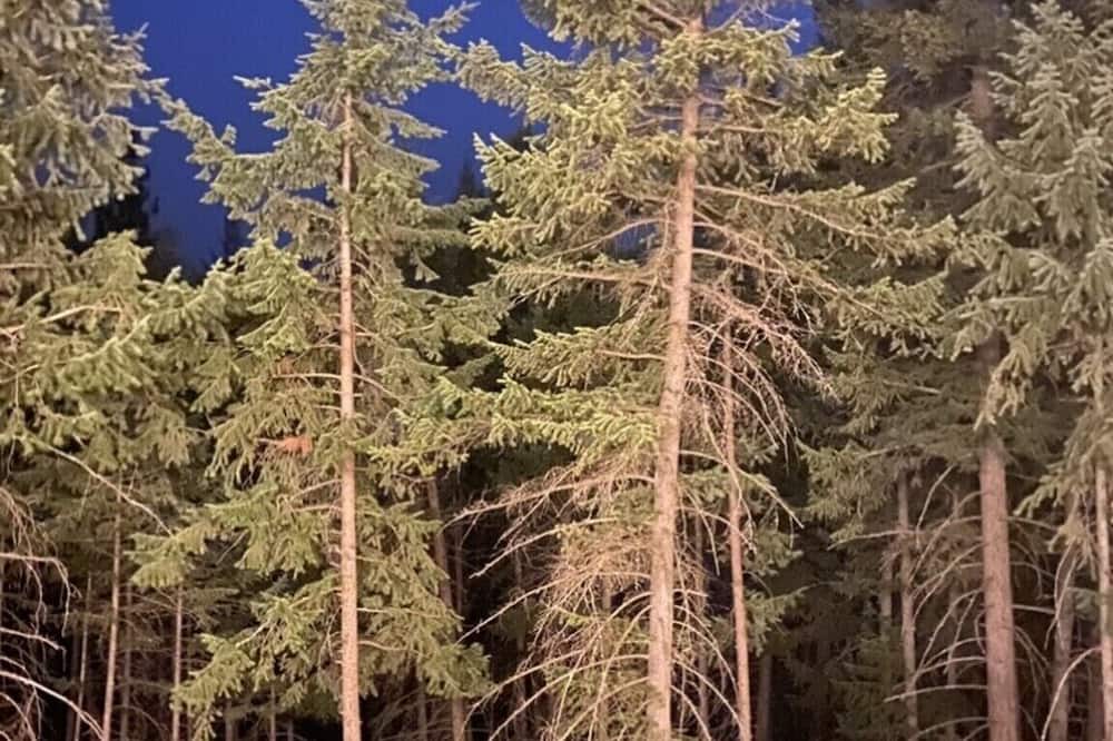 Photo of Others in West Kelowna Estates