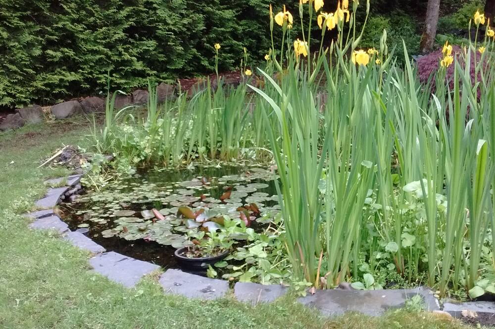 Photo of Outdoor in Maple Bay