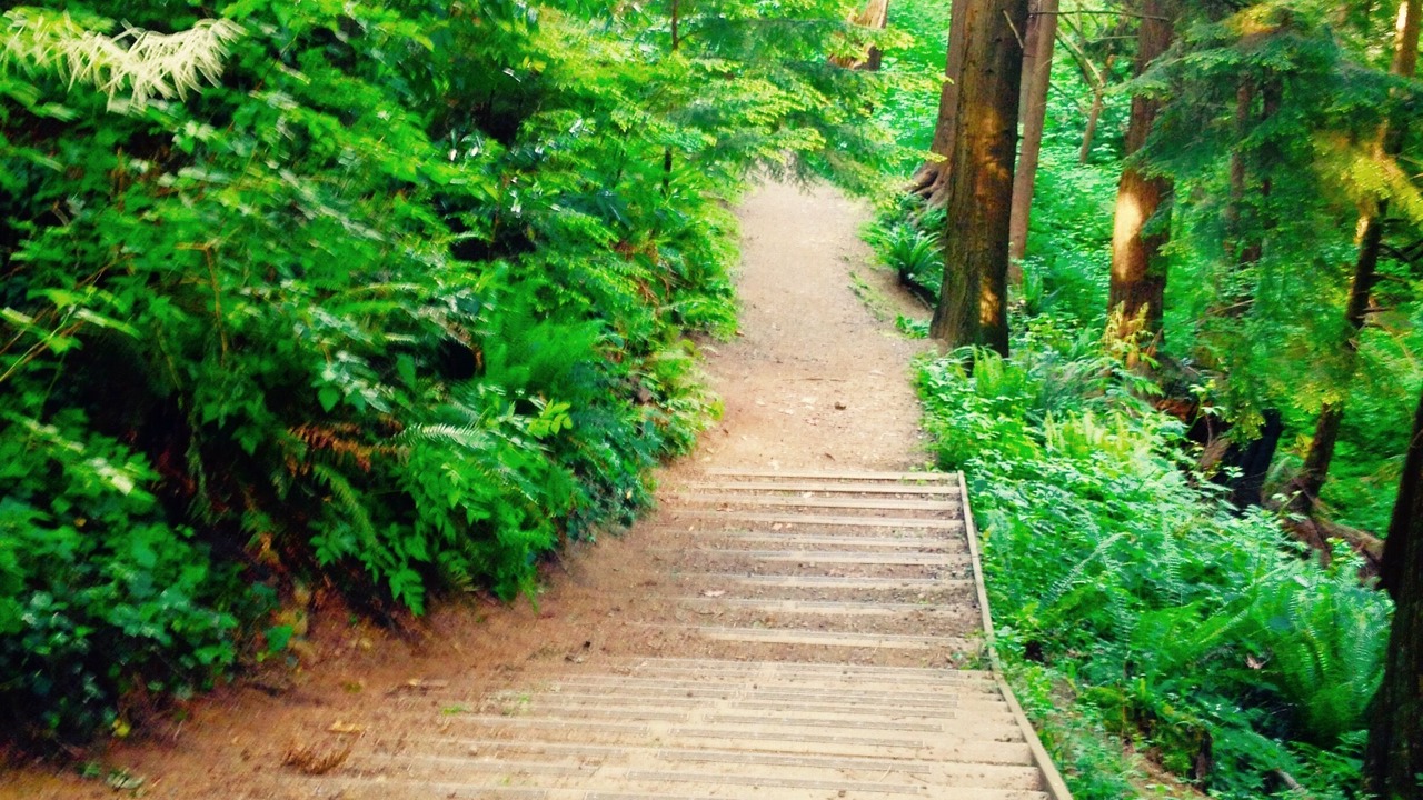 Photo of Outdoor in Pemberton Heights