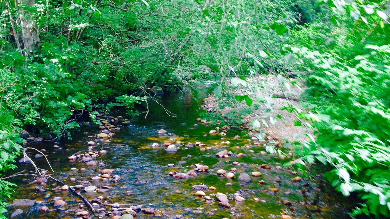 Photo of Outdoor in Pemberton Heights